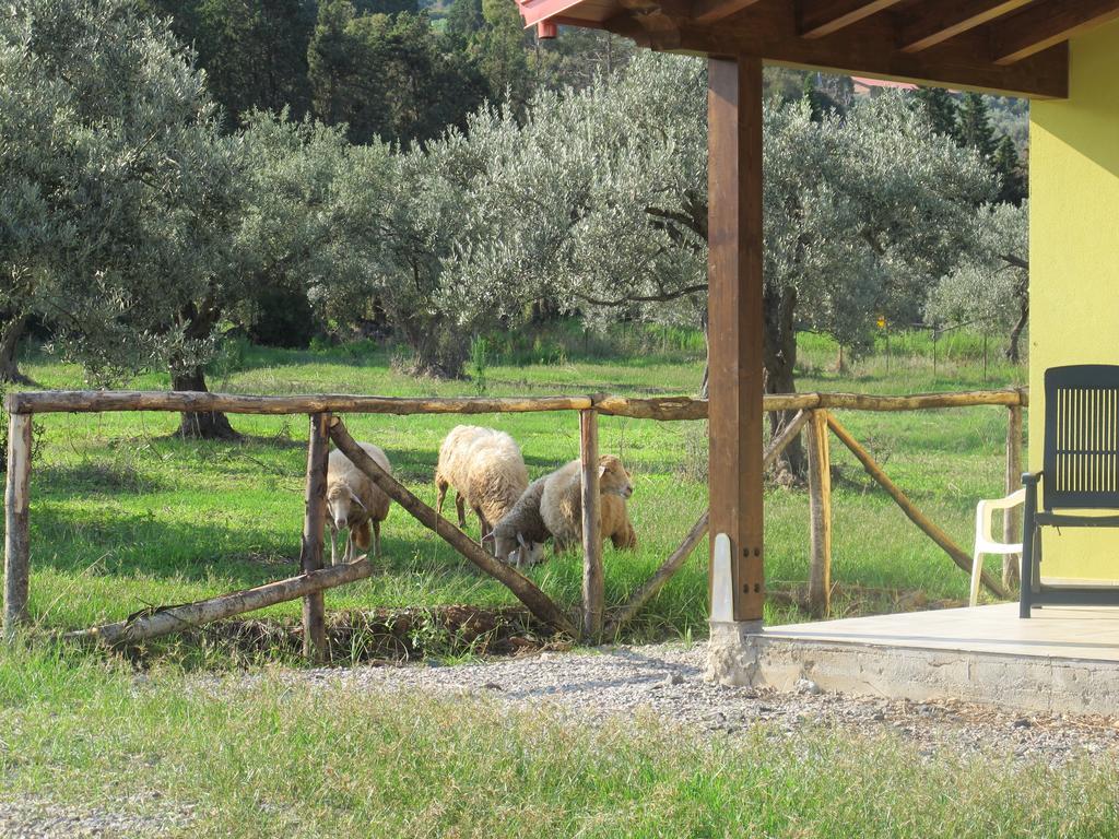 Holiday Home Stella Di Sicilia Acquedolci Εξωτερικό φωτογραφία