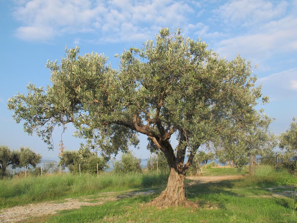 Holiday Home Stella Di Sicilia Acquedolci Εξωτερικό φωτογραφία